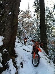 ktm ride in forrest hill.jpg