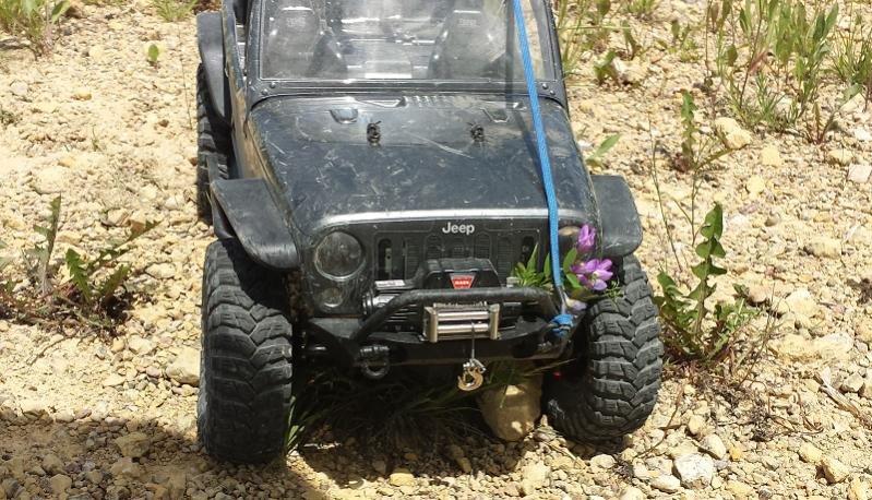 FlowerJeep.jpg