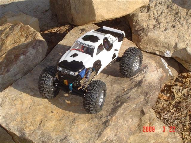 losi mini 002 (Small).jpg