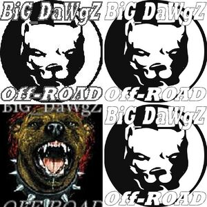 BiG_DaWgZ ALBUM of RC's