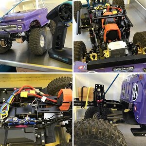 TRX4 HONEY BEE COMP CRAWLER