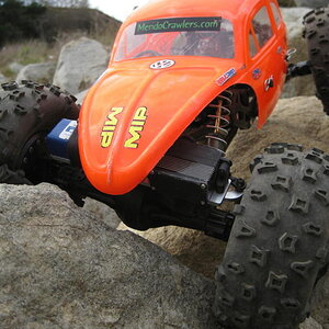 axial bta on beetle2