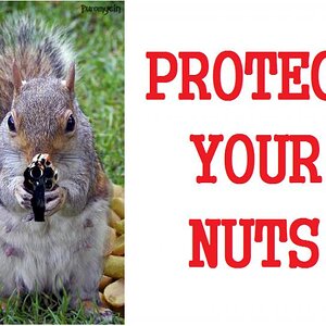 Protect Nuts