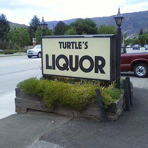 turtles liquor store