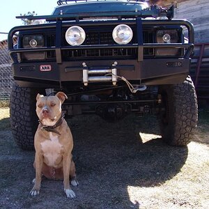 my xj and one of my dogs, baller