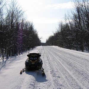 Trail #11 near silver city Mi