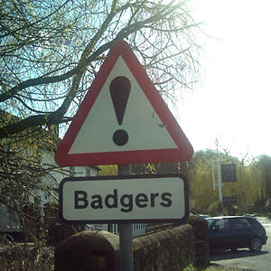 badger sign