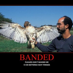 banded