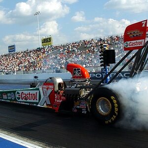 ashley force