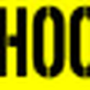 Team Hoonigan logo 1 web proof yellow