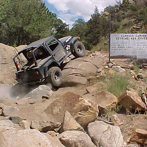 All 4 fun, Leadville, CO