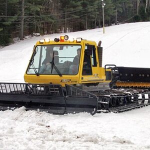 groomer 550x338