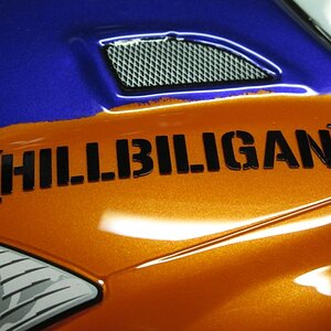 [HILLBILIGAN] 1