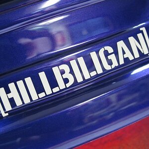 [HILLBILIGAN] 2