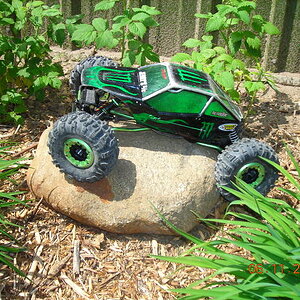 flower bed crawling ( actually raspberrys)