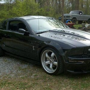 2006 Shelby