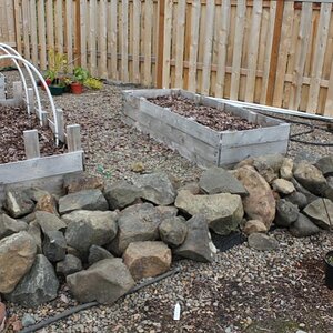 The backyard rock pile.  Was just a pile of rocks we moved from one part of the yard to here.  Only modification was to scoot the rocks closer togethe