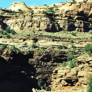 pritchett canyon