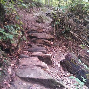 Stone steps. This park delivers.