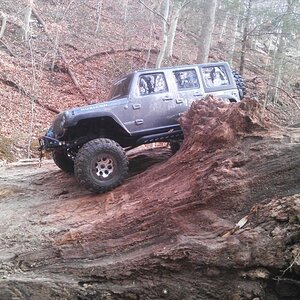 This downed tree made an awesome obstacle. Must've played here for an hour.