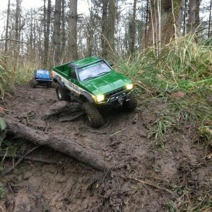 Running in my local forest in the UK