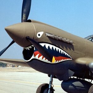 Curtiss P 40E Warhawk 2 USAF