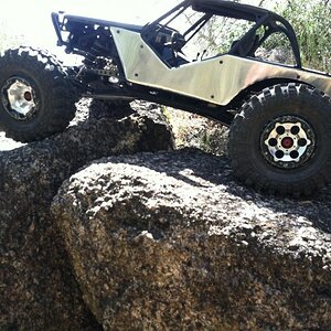 Bush HWY crawlin