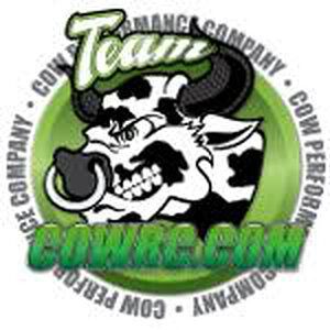 TeamCowAva6