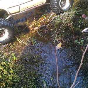 Jones Creek, Tillamook, OR. Creek crossing.