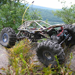 crawling in the Adirondacks, while taking lunch break from 1:1 crawling! :)