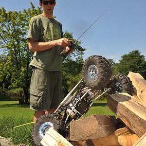 Crawlin William Hausers woodpile