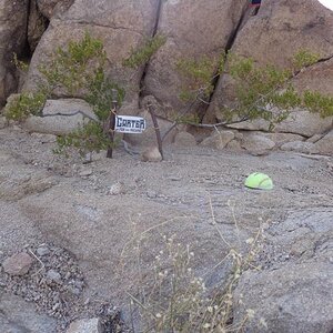 Desert signs!