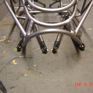 southern buggy cage 043