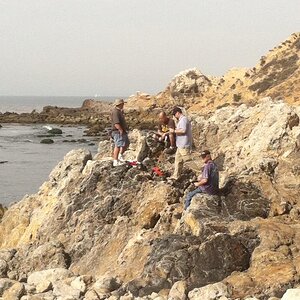 Beach City Crawlers Palos Verdes Cliffside Crawling