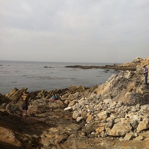 Beach City Crawlers Palos Verdes Cliffside Crawling