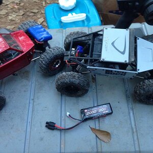 Losi mini crawler and slick rock