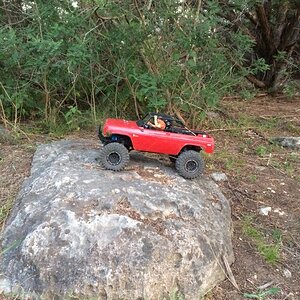 Front yard crawlin'