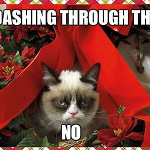 funny angry cat Christmas decorations