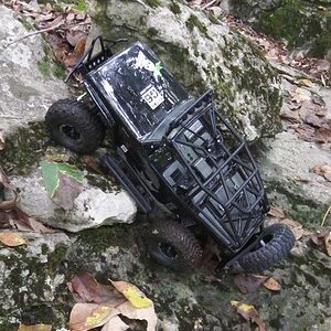 rc crawlin 054