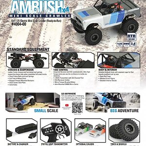 PROLINE Ambush Flyer Back