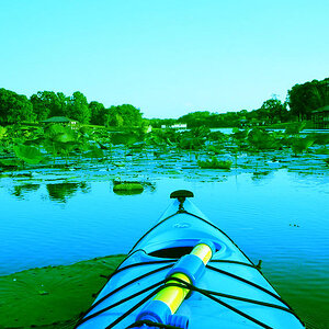 kayak