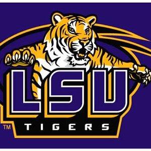 Rug Image LSU Tigers jpg 53163058