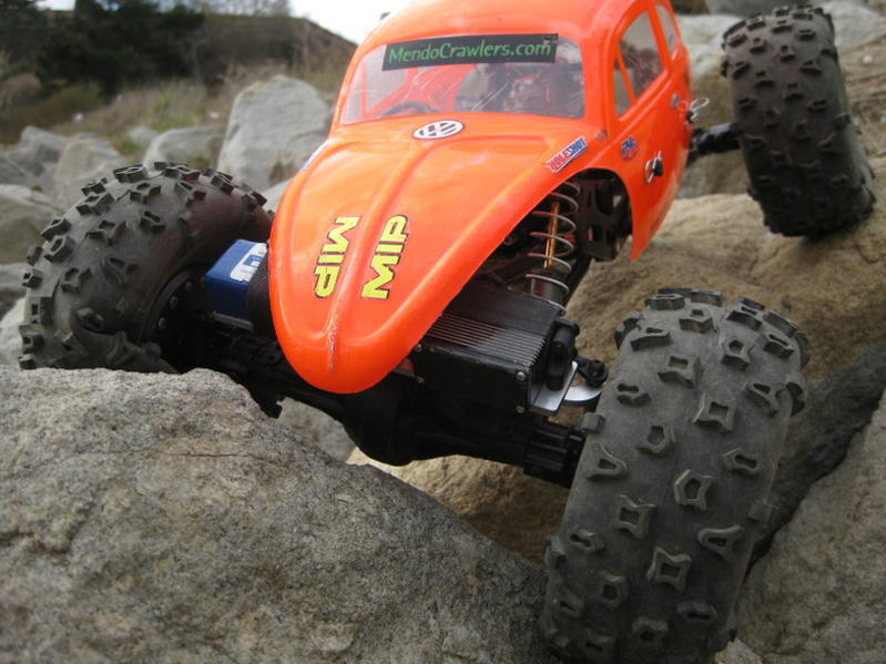 axial bta on beetle2