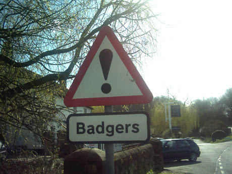 badger sign