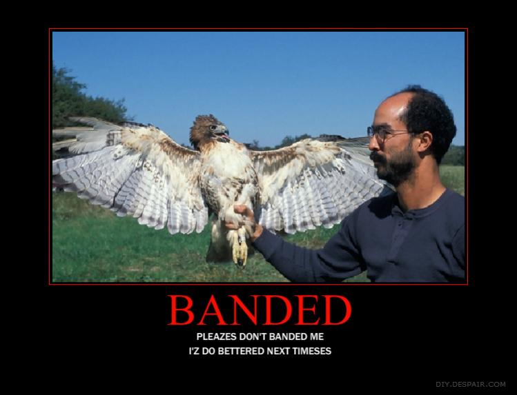 banded