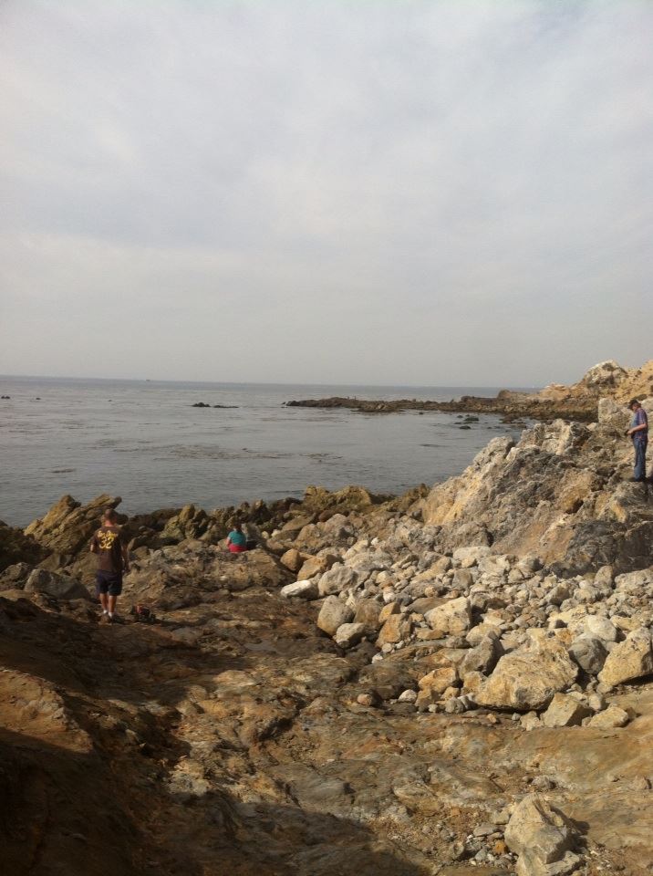 Beach City Crawlers Palos Verdes Cliffside Crawling