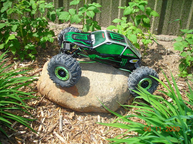 flower bed crawling ( actually raspberrys)