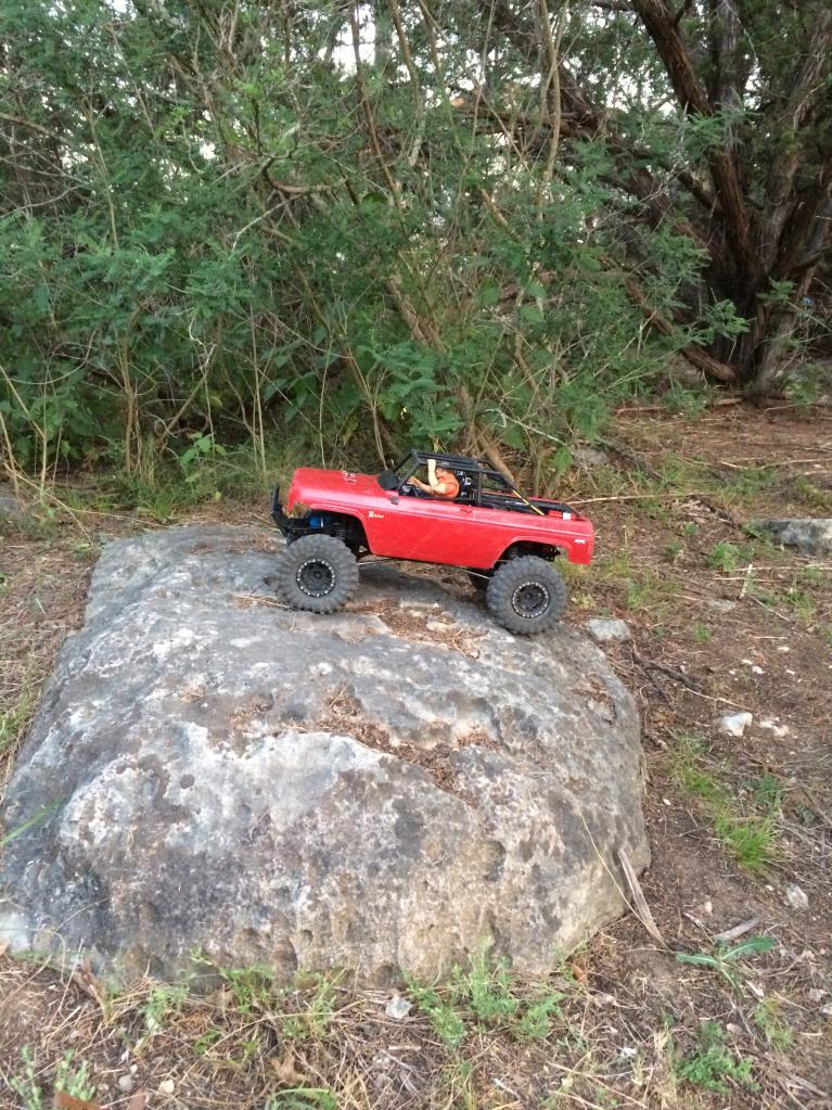 Front yard crawlin'