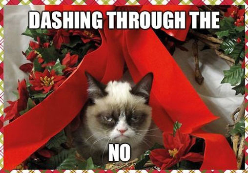 funny angry cat Christmas decorations