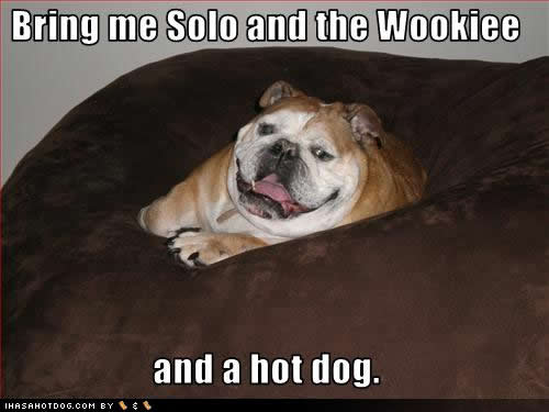 funny dog pictures solo wookie